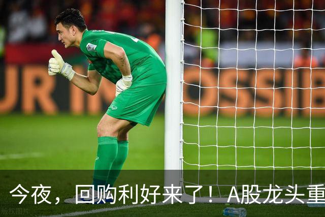 今夜，回购利好来了！A股龙头重磅出手