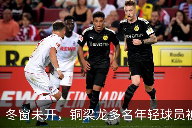 冬窗未开，铜梁龙多名年轻球员被盯上，合同签2030俱乐部不松手！