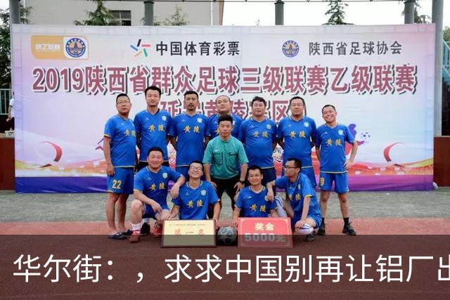 华尔街：，求求中国别再让铝厂出海了！这帮敢死队把铝价卷崩了！