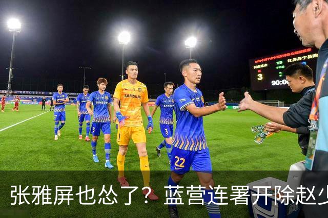 张雅屏也怂了？蓝营连署开除赵少康，张雅屏：联署人数不能替代事证