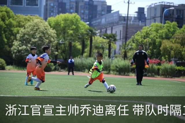 浙江官宣主帅乔迪离任 带队时隔12年重回亚冠