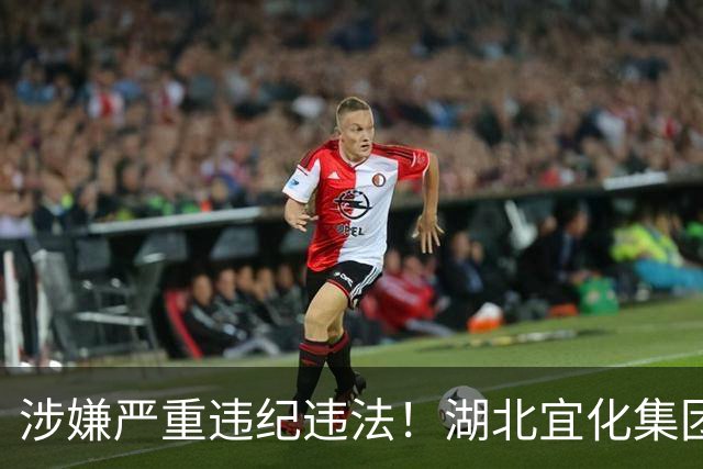 涉嫌严重违纪违法！湖北宜化集团原副总经理被查