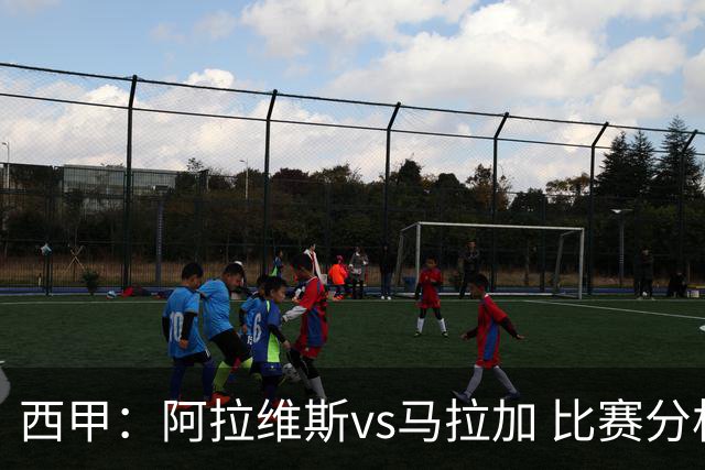 西甲：阿拉维斯vs马拉加 比赛分析与战术解读