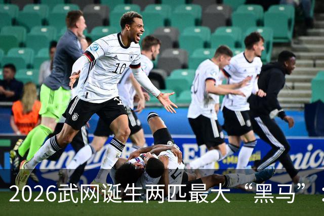 2026武网诞生两匹最大“黑马”：世界排名170的卡塔尔杀进决赛，波兰“月亮姐”击败发小斯瓦泰克晋级，有望夺冠！
